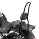 Спинка CSXL + задняя сумка LX для Harley Softail Custom 07-09 съемная с багажником Craftride