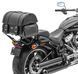 Задняя сумка для Harley Davidson Road King / Classic / Craftride FP