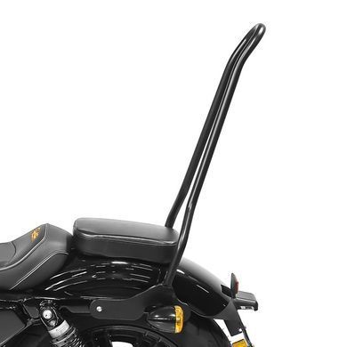 Спинка Harley Sportster Forty-Eight 48 10-20 Craftride Tampa