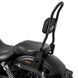 Спинка Harley Davidson Street Bob 09-17/LR Craftride Fast Rider-L з багажником чорний