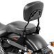 Спинка Harley Dyna Street Bob 06-17 Craftride Fast Driver-M Flex з багажною полицею чорного кольору