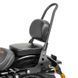 Спинка Harley Sportster 883/1200 04-20 Craftride Fast Rider-M чорний