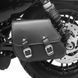 Сумка для маятника + тримач Harley Sportster Forty-Eight 48 10-20 Craftride