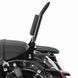 Спинка пасажира+багажник ST підходить для мотоцикла Harley Davidson Street Glide 09-26 Craftride PV1 чорного кольору