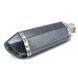Глушник для Kawasaki ZRX 1100 Silencer Carbon Look