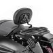 Спинка для мотоцикла Harley Davidson Touring 09-26 + багажник KI Craftride FR09 чорний